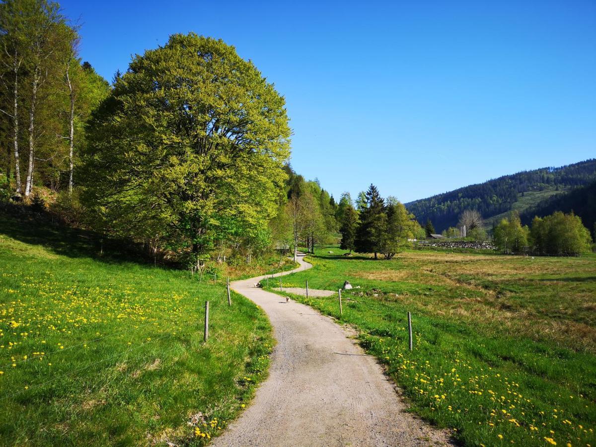 B4 Albmatte Apartman Menzenschwand-Hinterdorf Kültér fotó