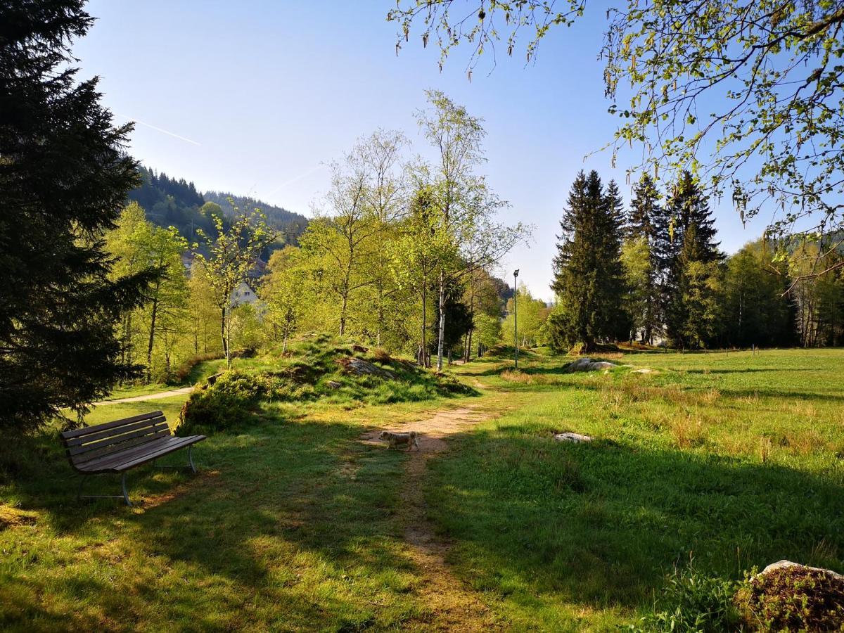 B4 Albmatte Apartman Menzenschwand-Hinterdorf Kültér fotó