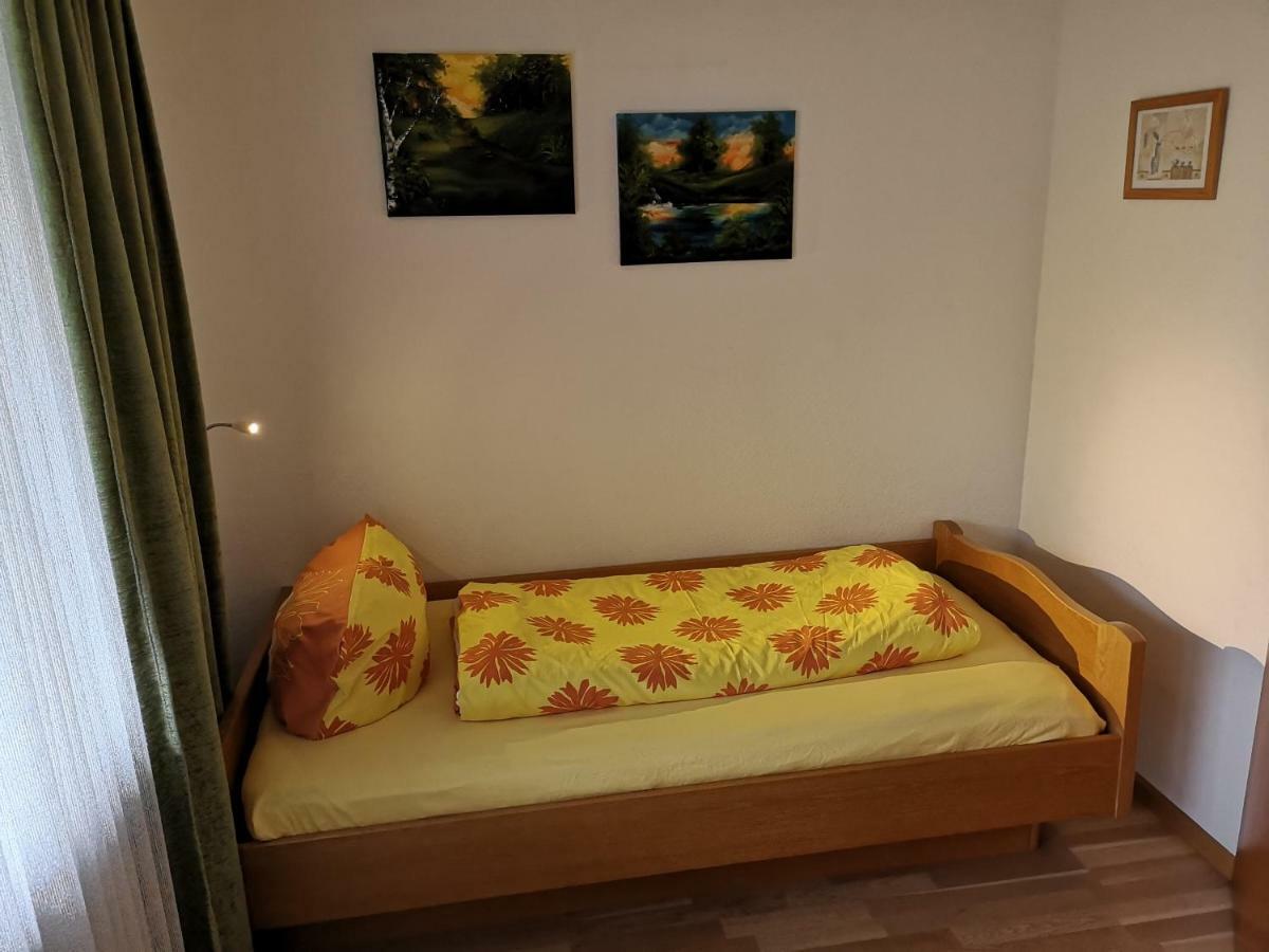 B4 Albmatte Apartman Menzenschwand-Hinterdorf Kültér fotó