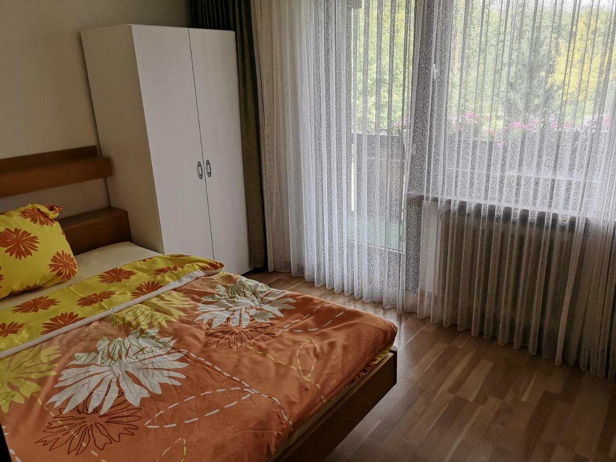 B4 Albmatte Apartman Menzenschwand-Hinterdorf Kültér fotó