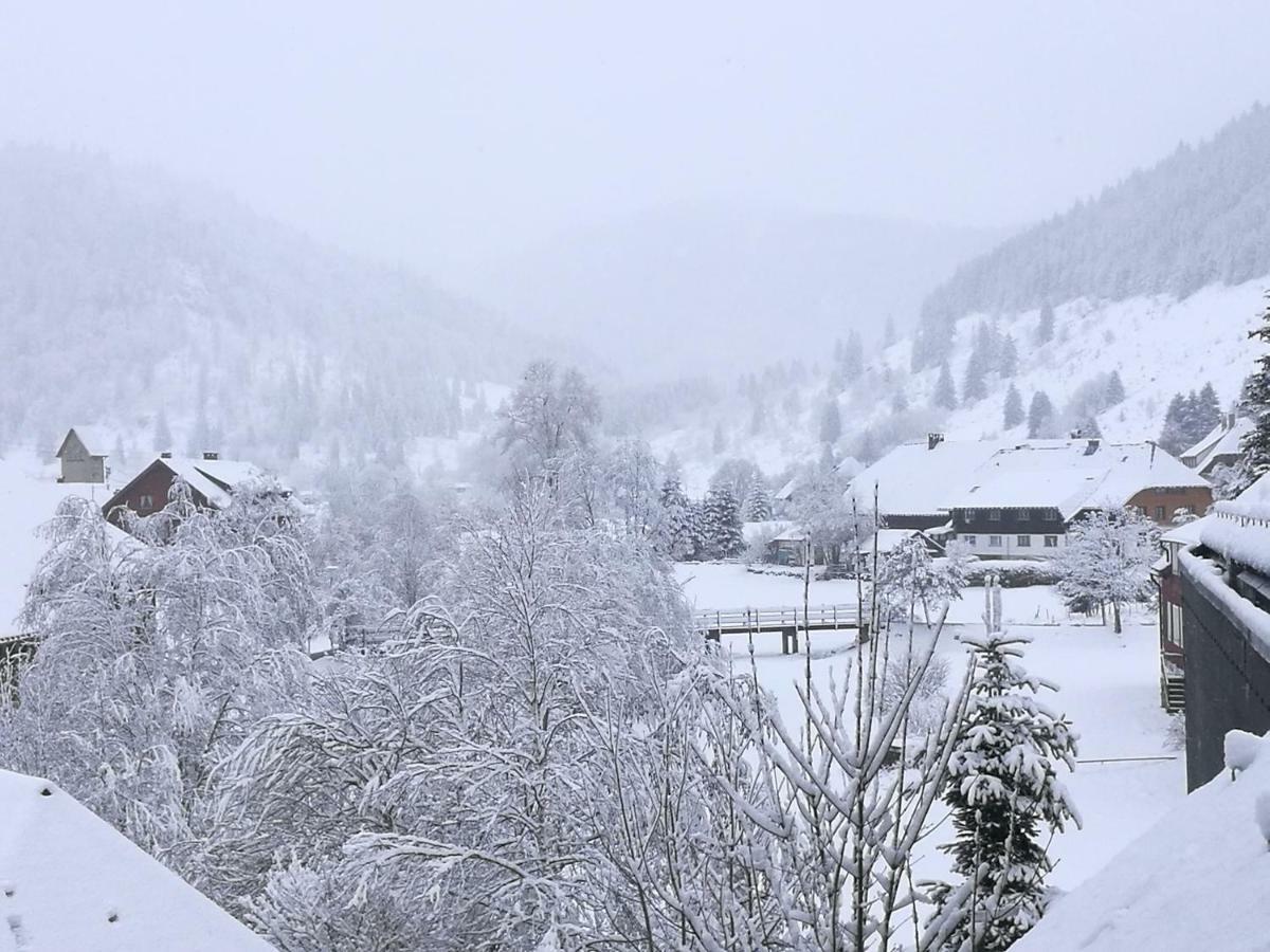 B4 Albmatte Apartman Menzenschwand-Hinterdorf Kültér fotó