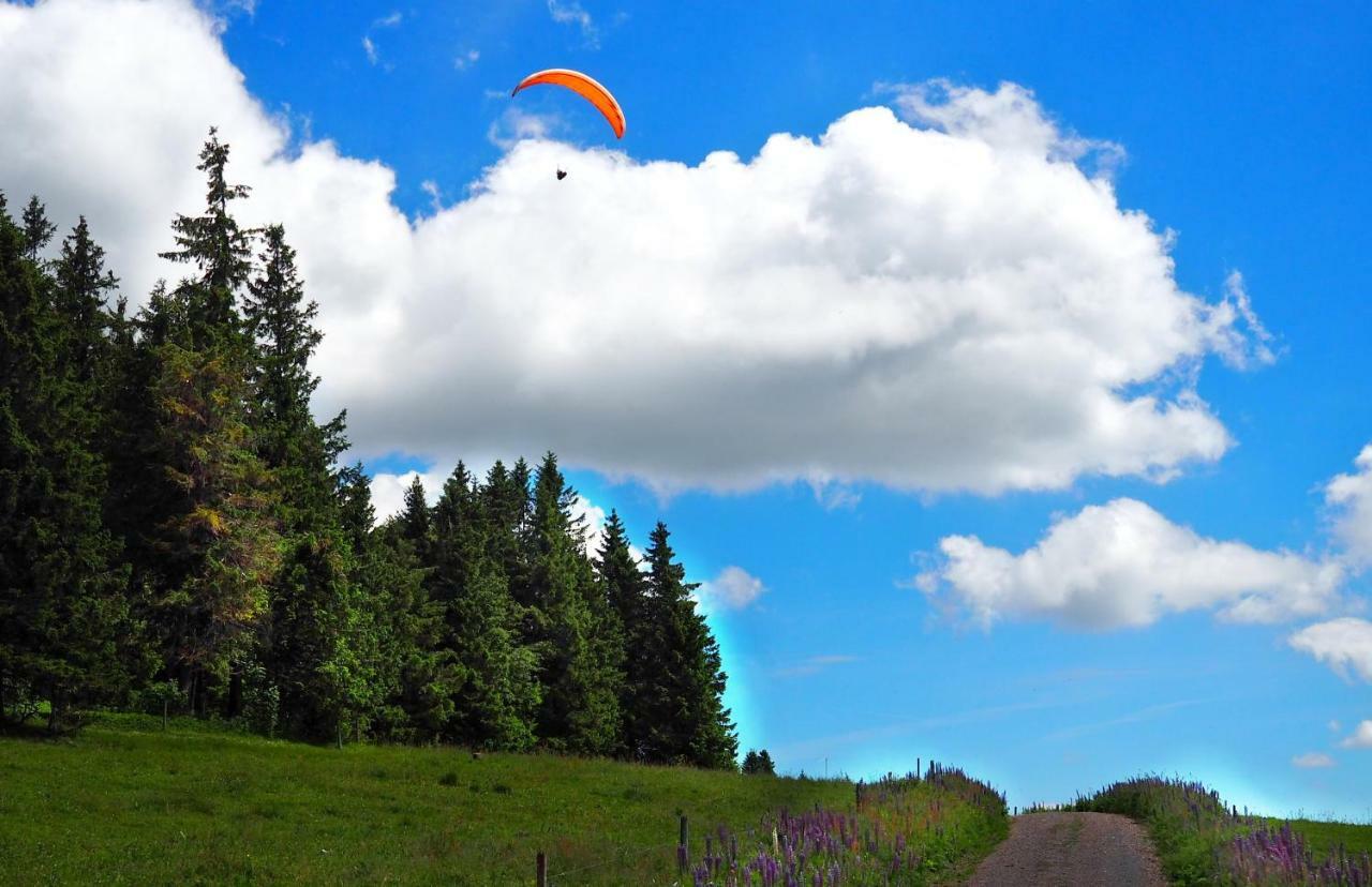 B4 Albmatte Apartman Menzenschwand-Hinterdorf Kültér fotó