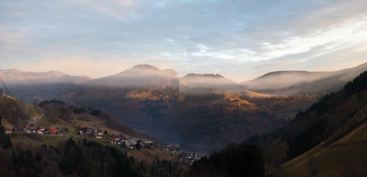 B4 Albmatte Apartman Menzenschwand-Hinterdorf Kültér fotó