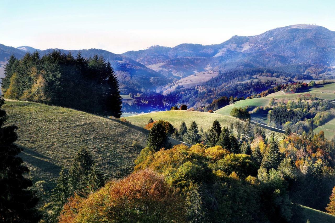 B4 Albmatte Apartman Menzenschwand-Hinterdorf Kültér fotó