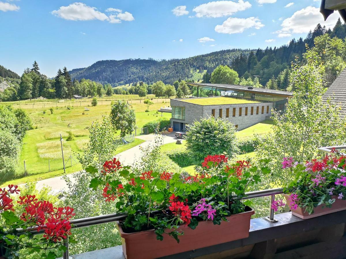B4 Albmatte Apartman Menzenschwand-Hinterdorf Kültér fotó