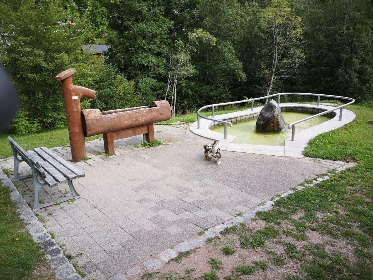 B4 Albmatte Apartman Menzenschwand-Hinterdorf Kültér fotó