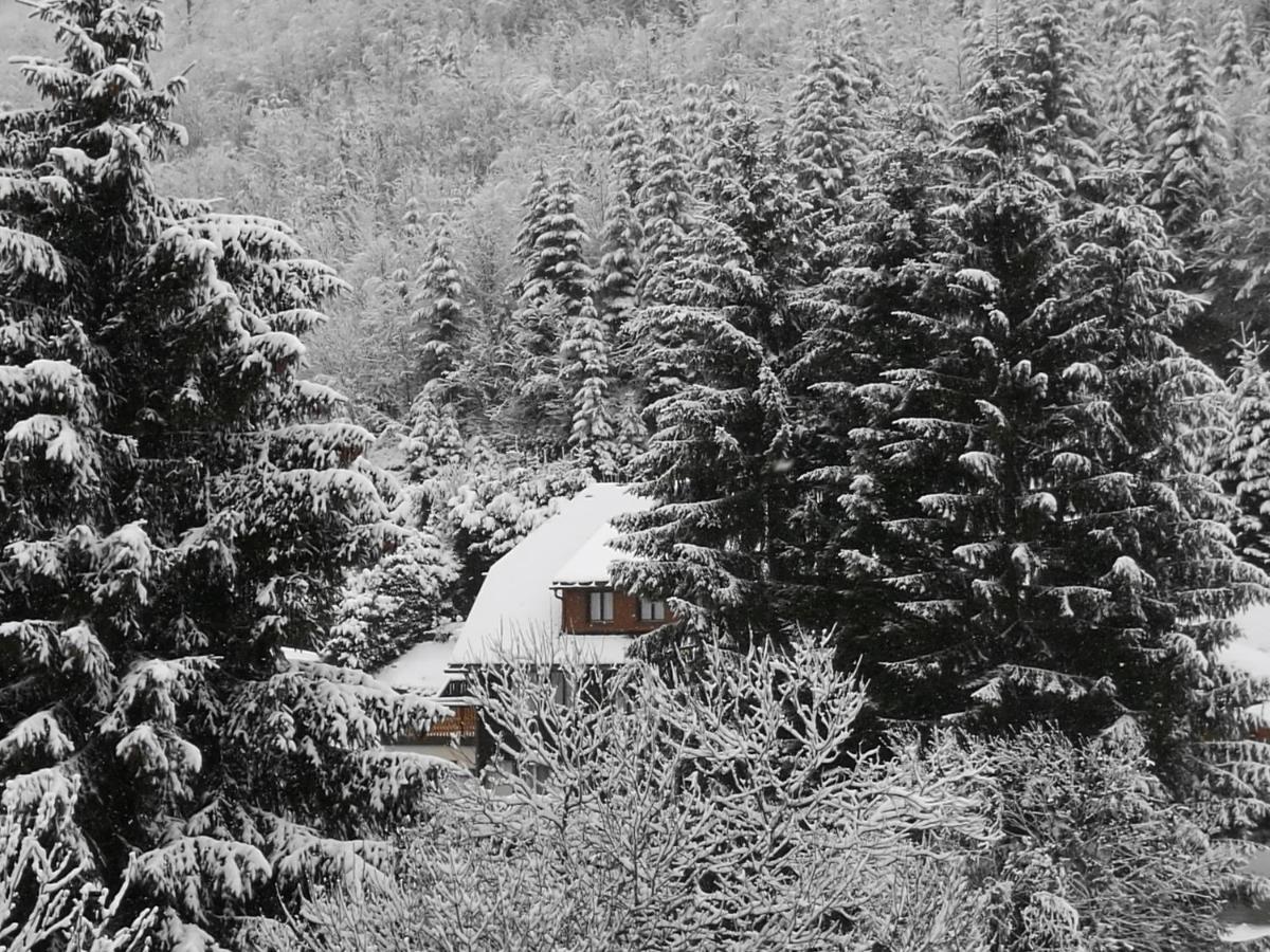 B4 Albmatte Apartman Menzenschwand-Hinterdorf Kültér fotó